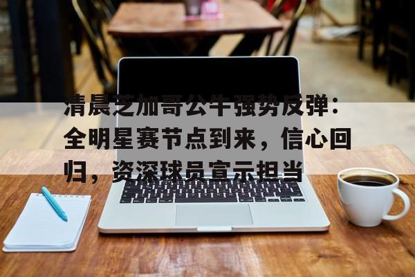 AYX-清晨芝加哥公牛强势反弹：全明星赛节点到来，信心回归，资深球员宣示担当的简单介绍