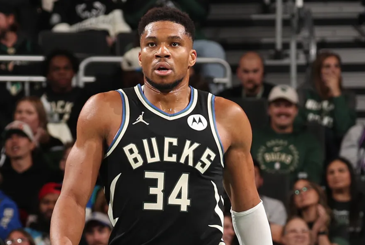 包含国际比赛日葡超焦点战；密尔沃基雄鹿豪取连胜；压力陡增；年轻球员得到机会的词条